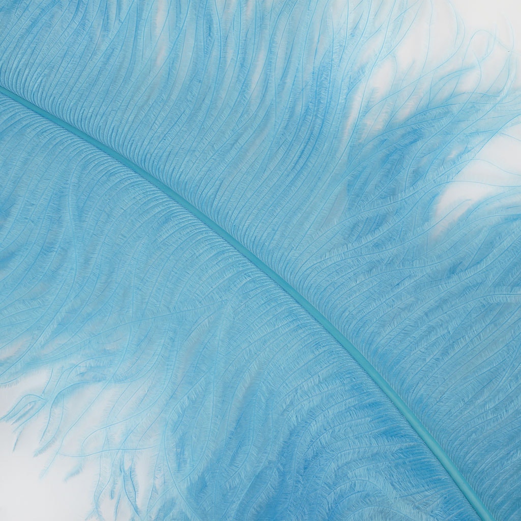 Large Ostrich Feathers - 20-25" Prime Femina Plumes - Light Turquoise