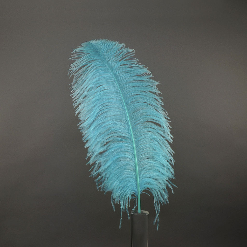 Large Ostrich Feathers - 20-25" Prime Femina Plumes - Light Turquoise