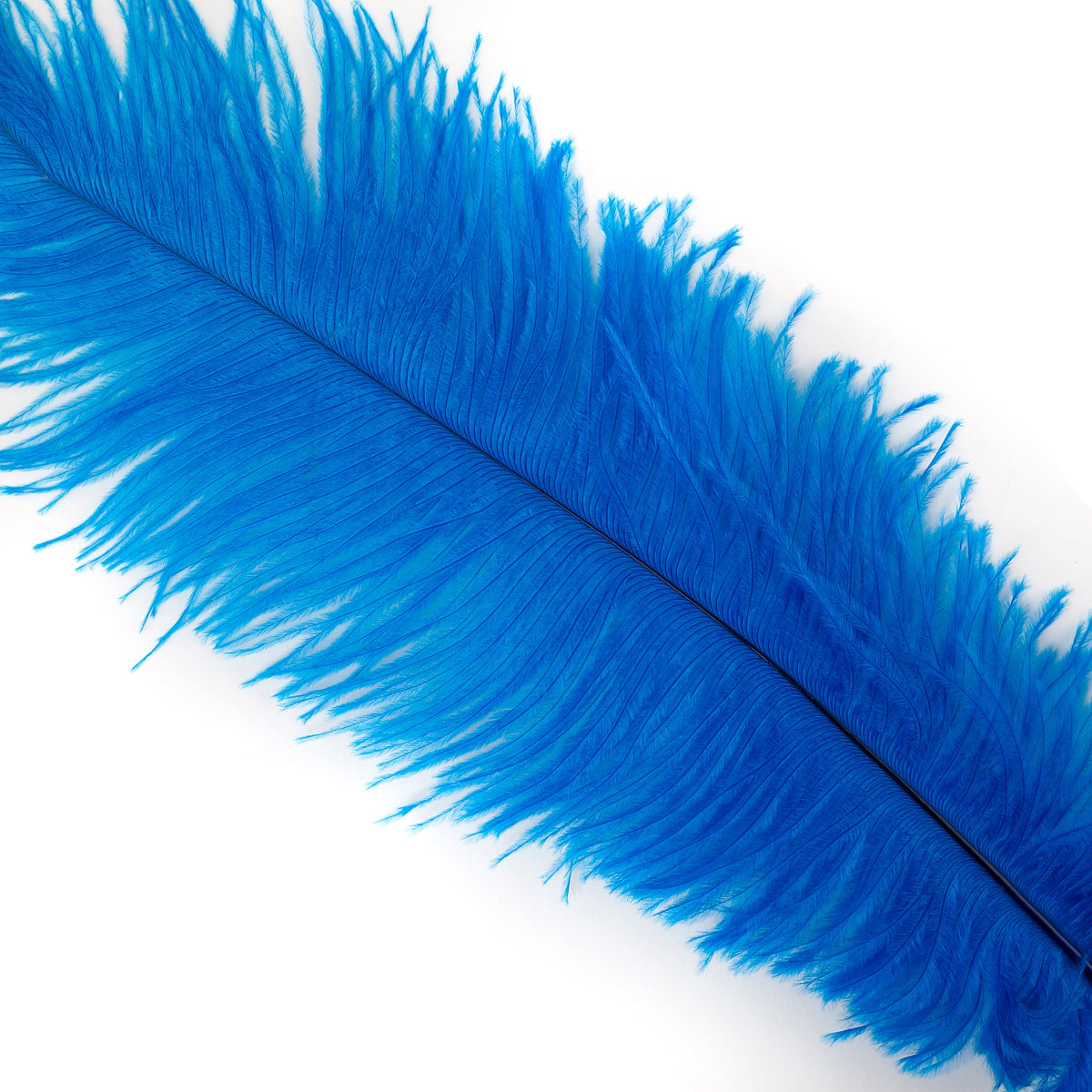Large Ostrich Feathers - 18-24" Spads - Dark Turquoise