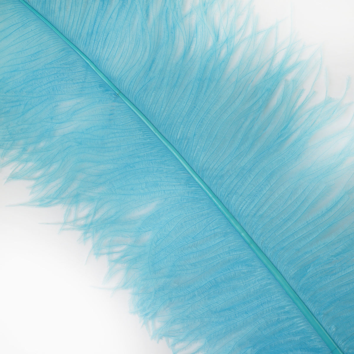 Large Ostrich Feathers - 18-24" Spads - Light Turquoise