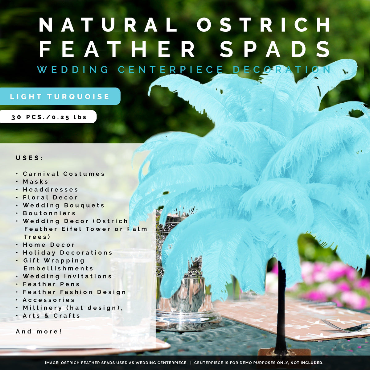 Large Ostrich Feathers - 18-24" Spads - Light Turquoise