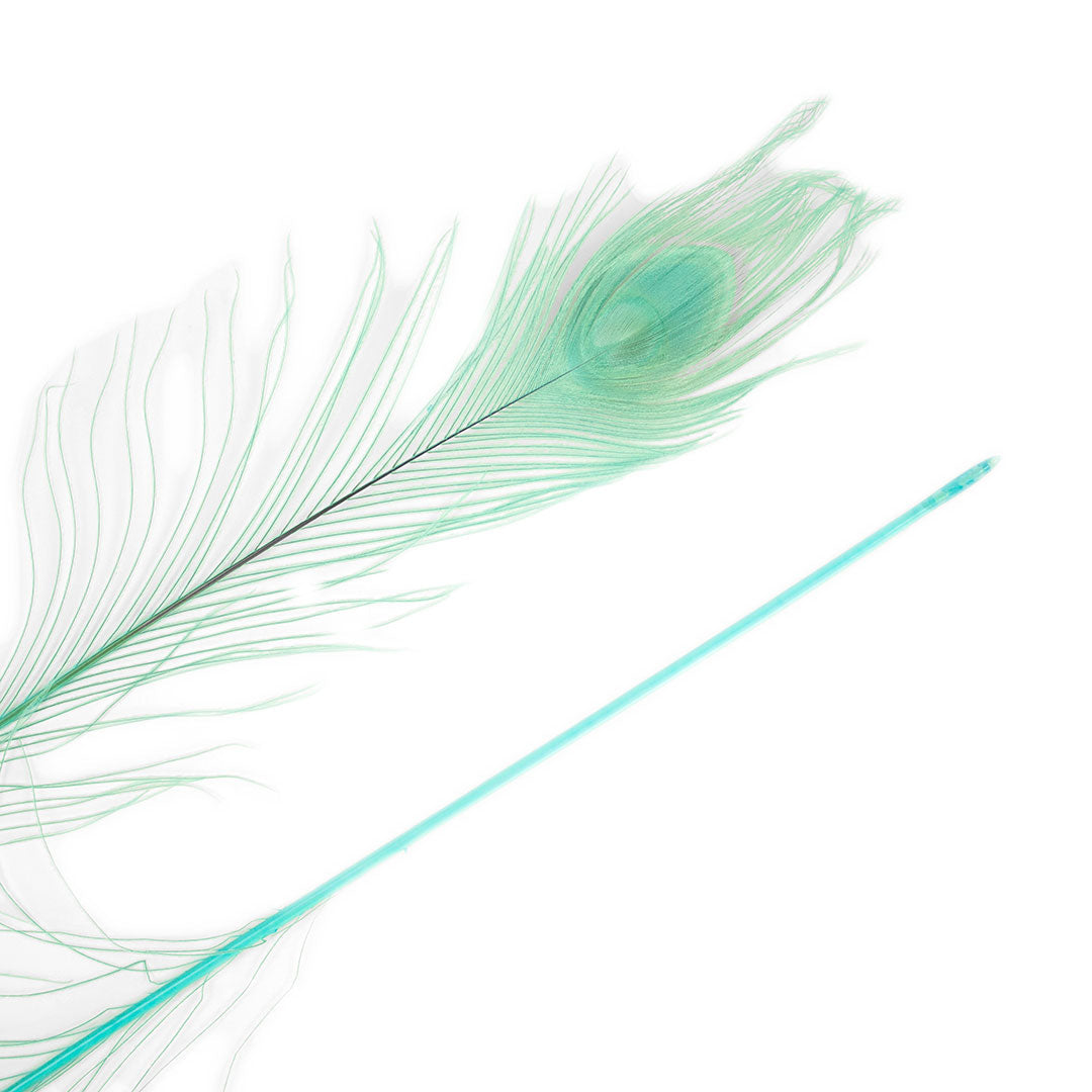 Peacock Feathers | 25-40" Tail Eyes | Light Turquoise (Bulk)