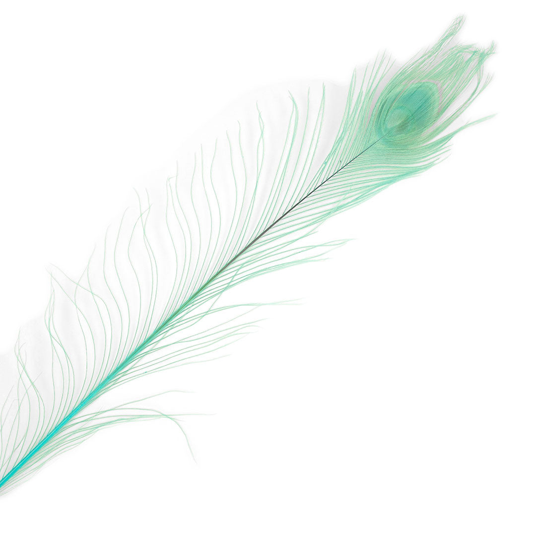 Peacock Feathers | 25-40" Tail Eyes | Light Turquoise (Bulk)