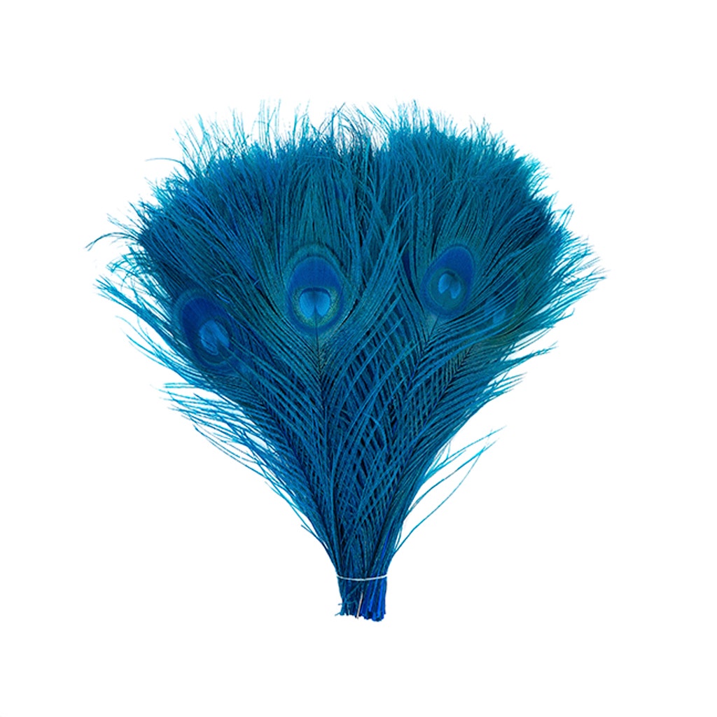Peacock Tail Eyes Bleached and Dyed - 8-15” - 100 pc - Dark Turquoise