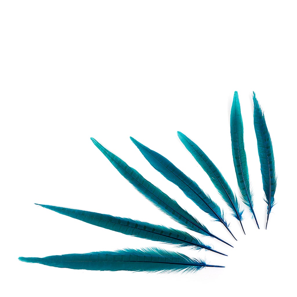 Bulk Assorted Pheasant Tails Dyed - Dark Turquoise
