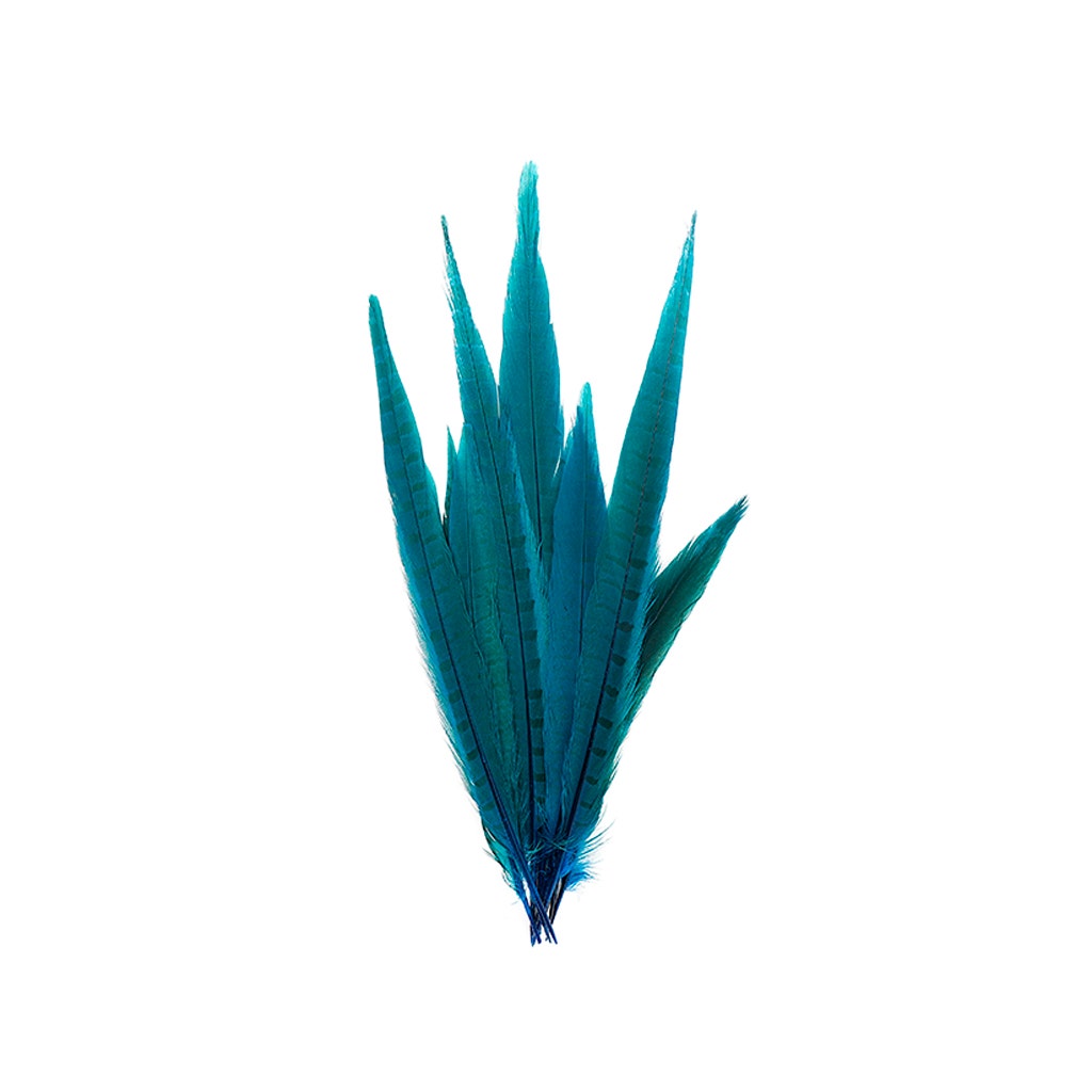 Bulk Assorted Pheasant Tails Dyed - Dark Turquoise