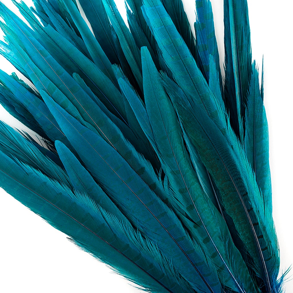 Bulk Assorted Pheasant Tails Dyed - Dark Turquoise