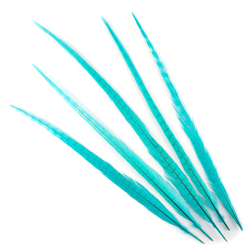Ringneck Pheasant Tails Bleached & Dyed Lt Turquoise