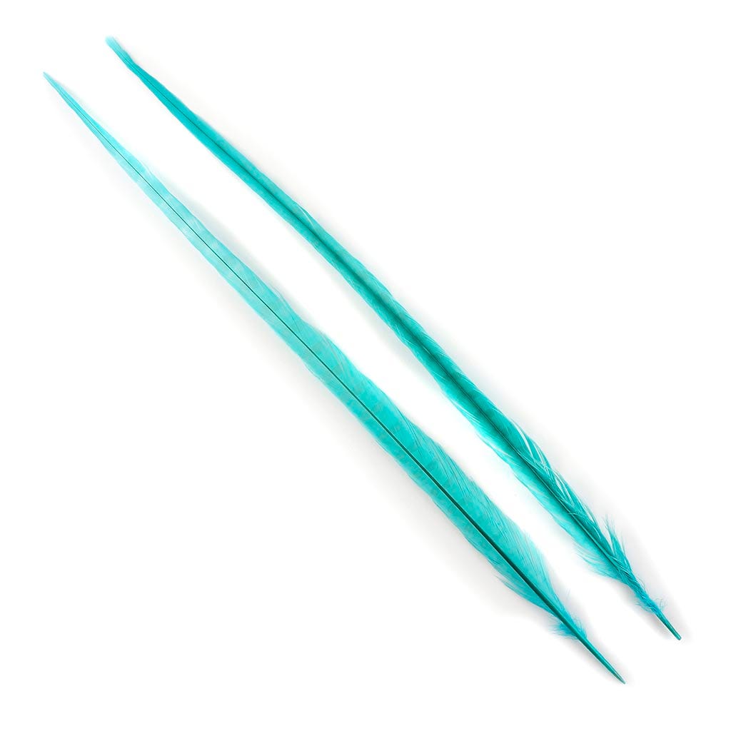 Ringneck Pheasant Tails Bleached & Dyed Lt Turquoise
