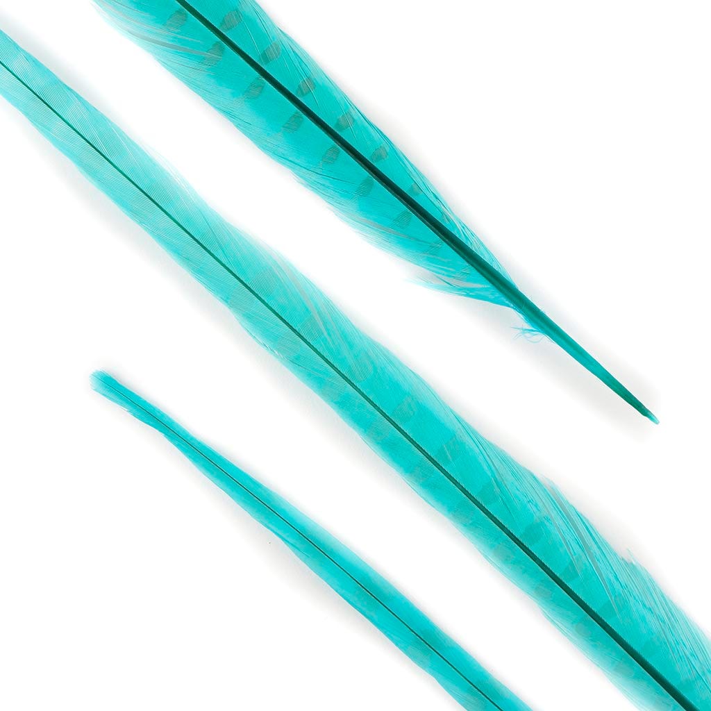 Ringneck Pheasant Tails Bleached & Dyed Lt Turquoise