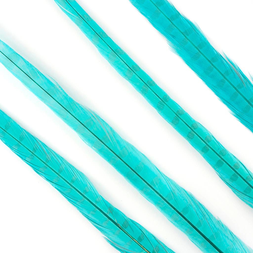 Ringneck Pheasant Tails Bleached & Dyed Lt Turquoise