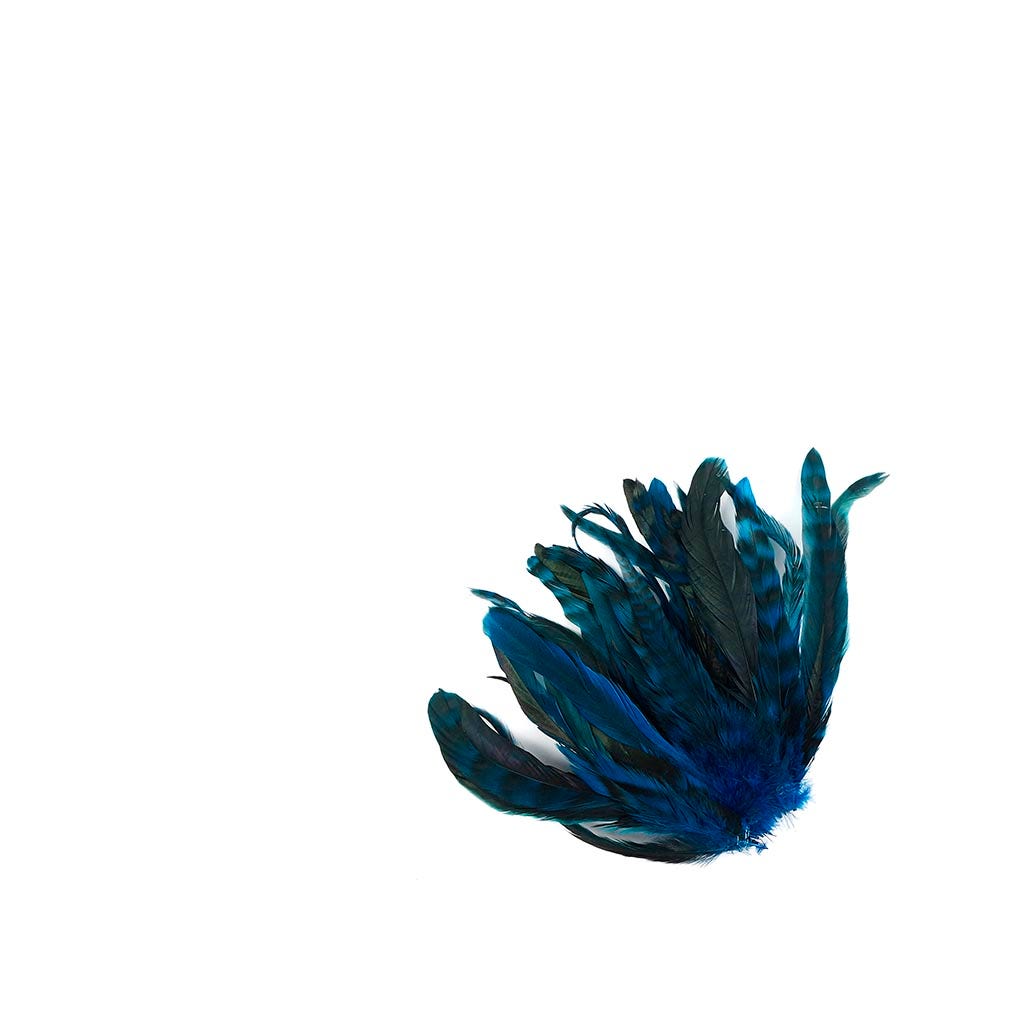 Rooster Coque Tails-Chinchilla Dk Turquoise