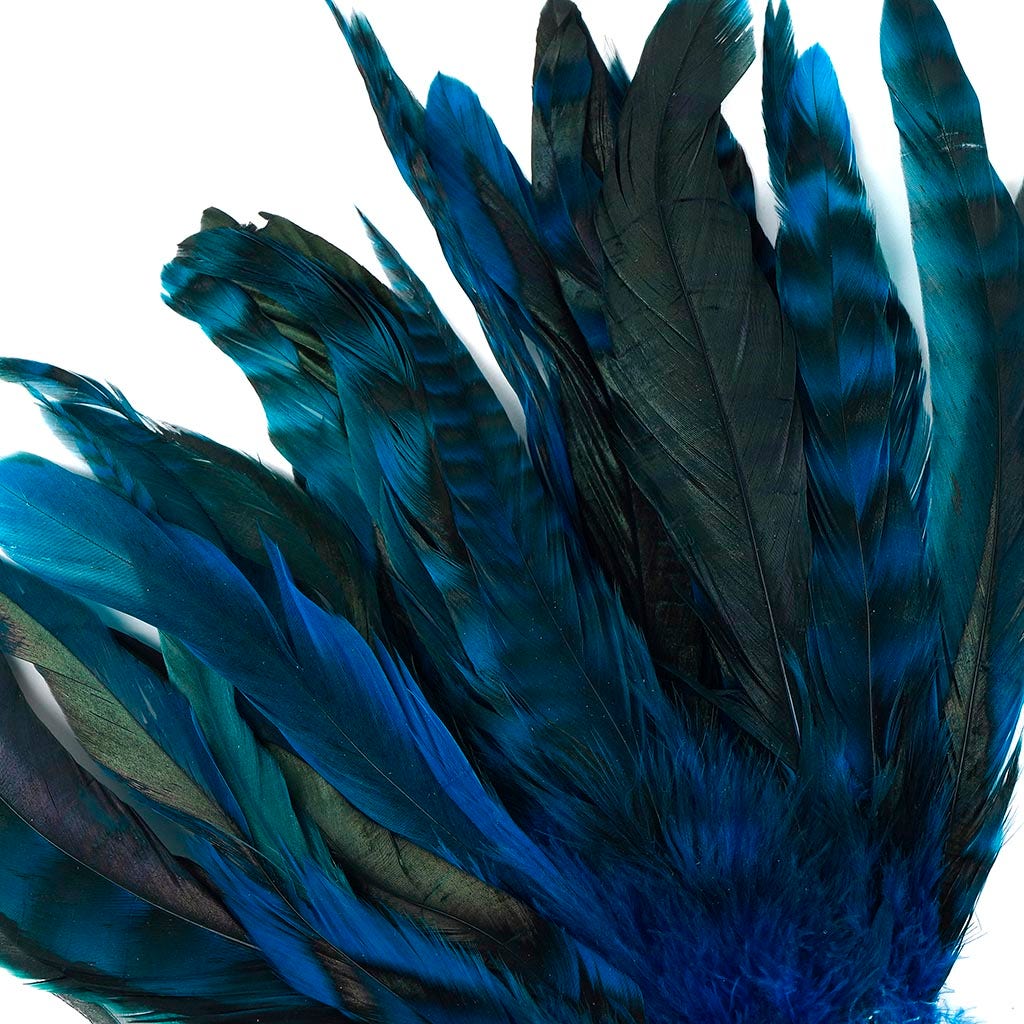 Rooster Coque Tails-Chinchilla Dk Turquoise