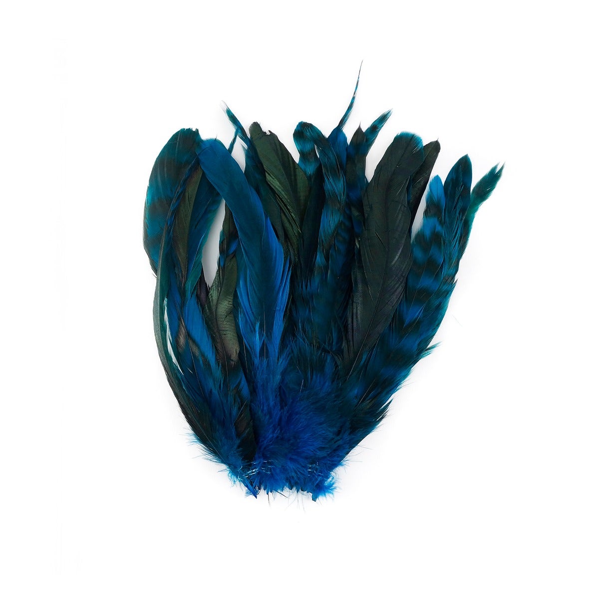Rooster Coque Tails-Chinchilla Dk Turquoise