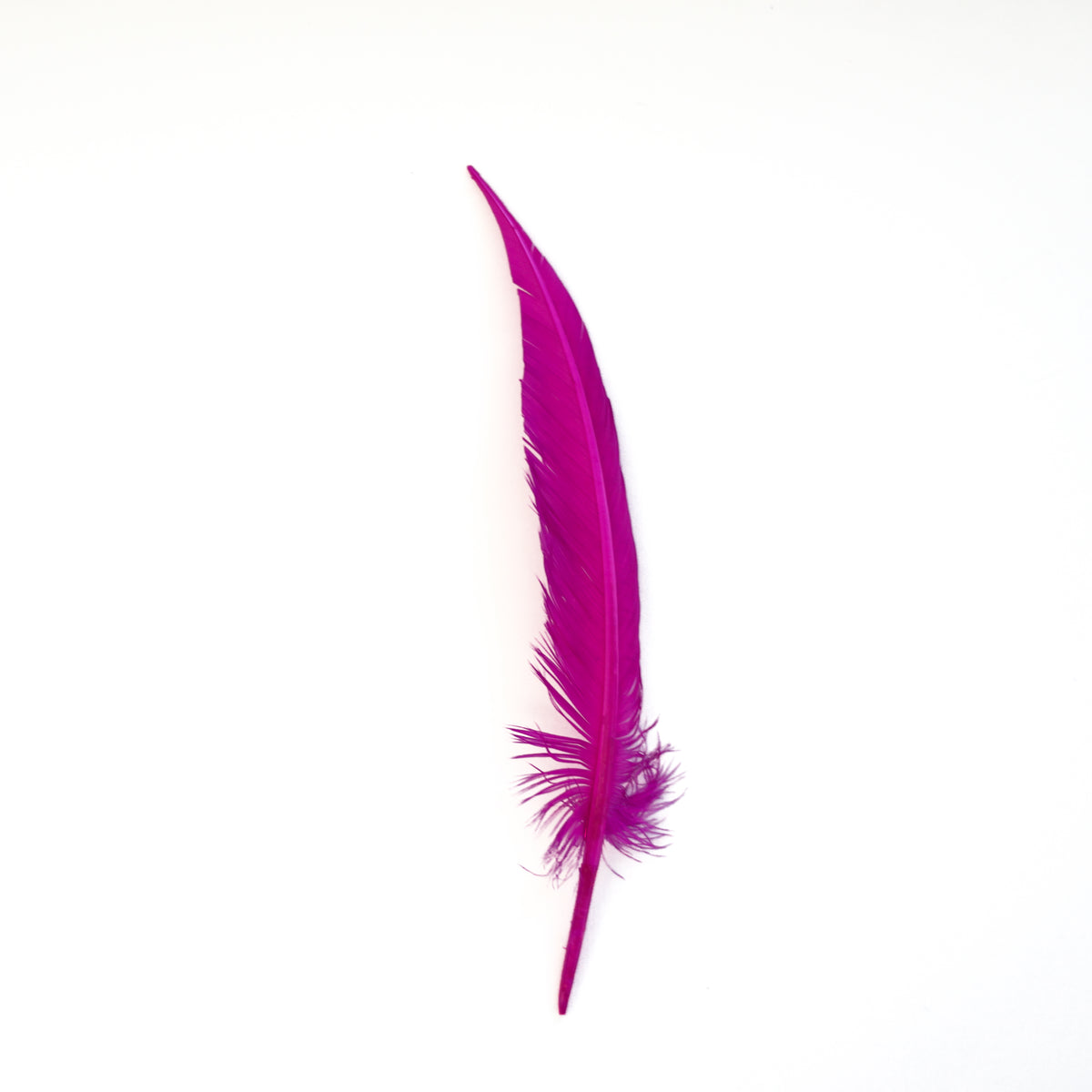 Very Berry Dagger Turkey Quill Feathers 9-12"