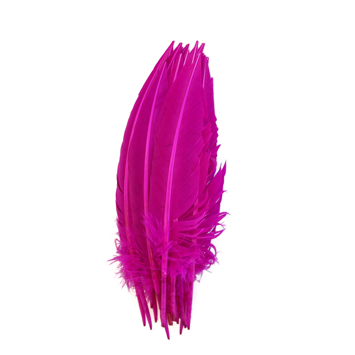 Very Berry Dagger Turkey Quill Feathers 9-12"