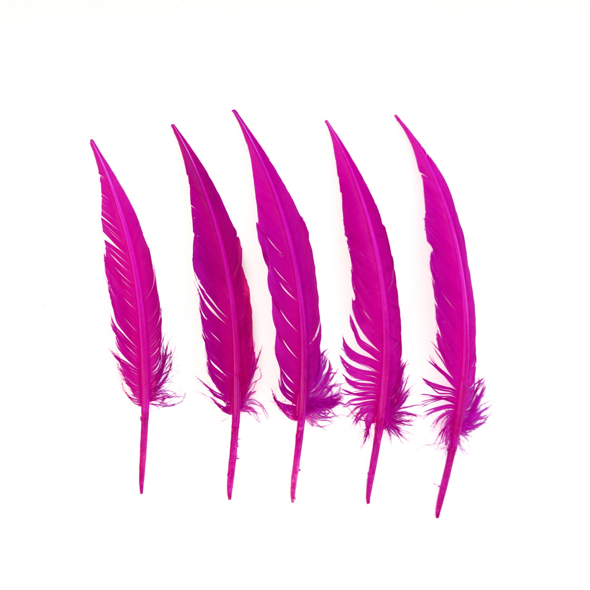 Very Berry Dagger Turkey Quill Feathers 9-12"