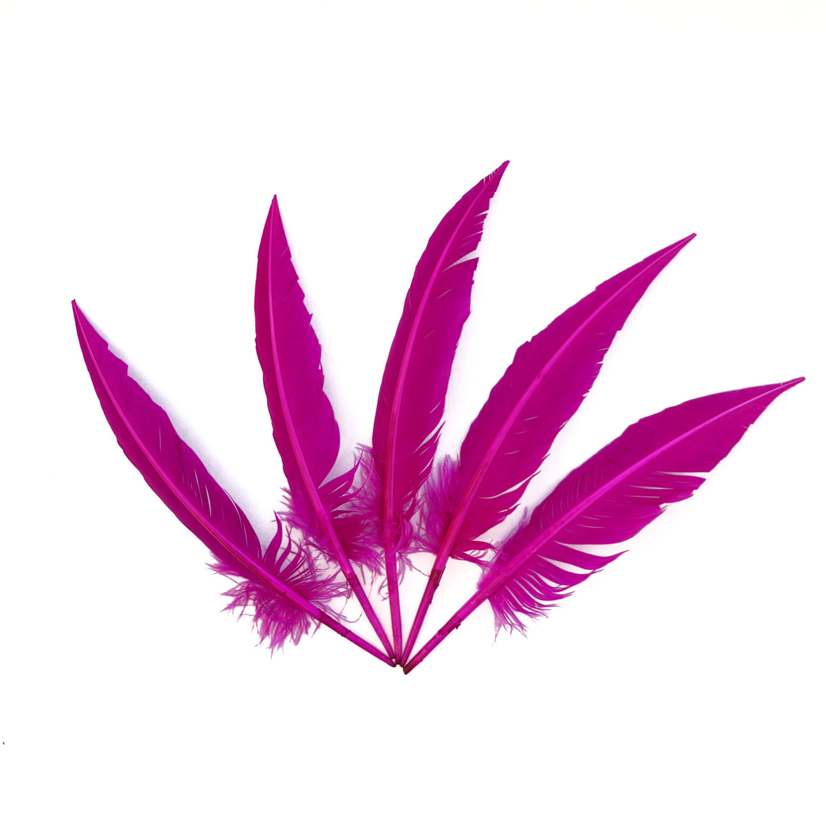 Very Berry Dagger Turkey Quill Feathers 9-12"