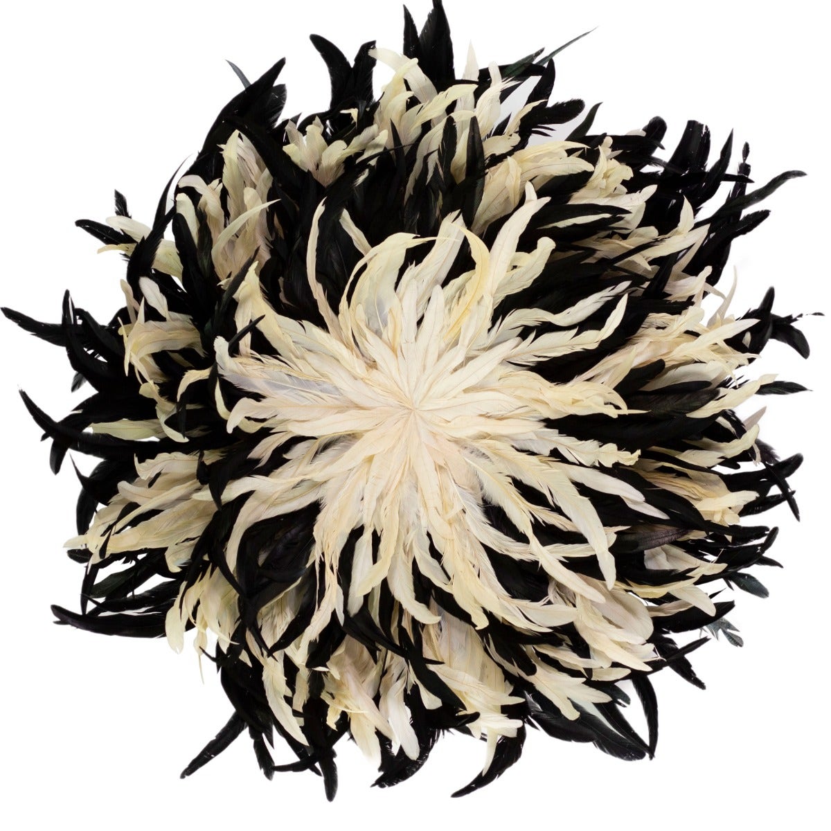 Black and Beige Feather Wall Art Hat
