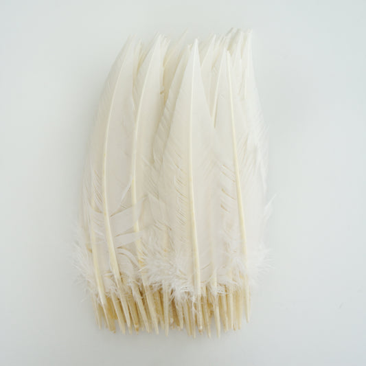 White Dagger Turkey Quill Feathers 9-12"