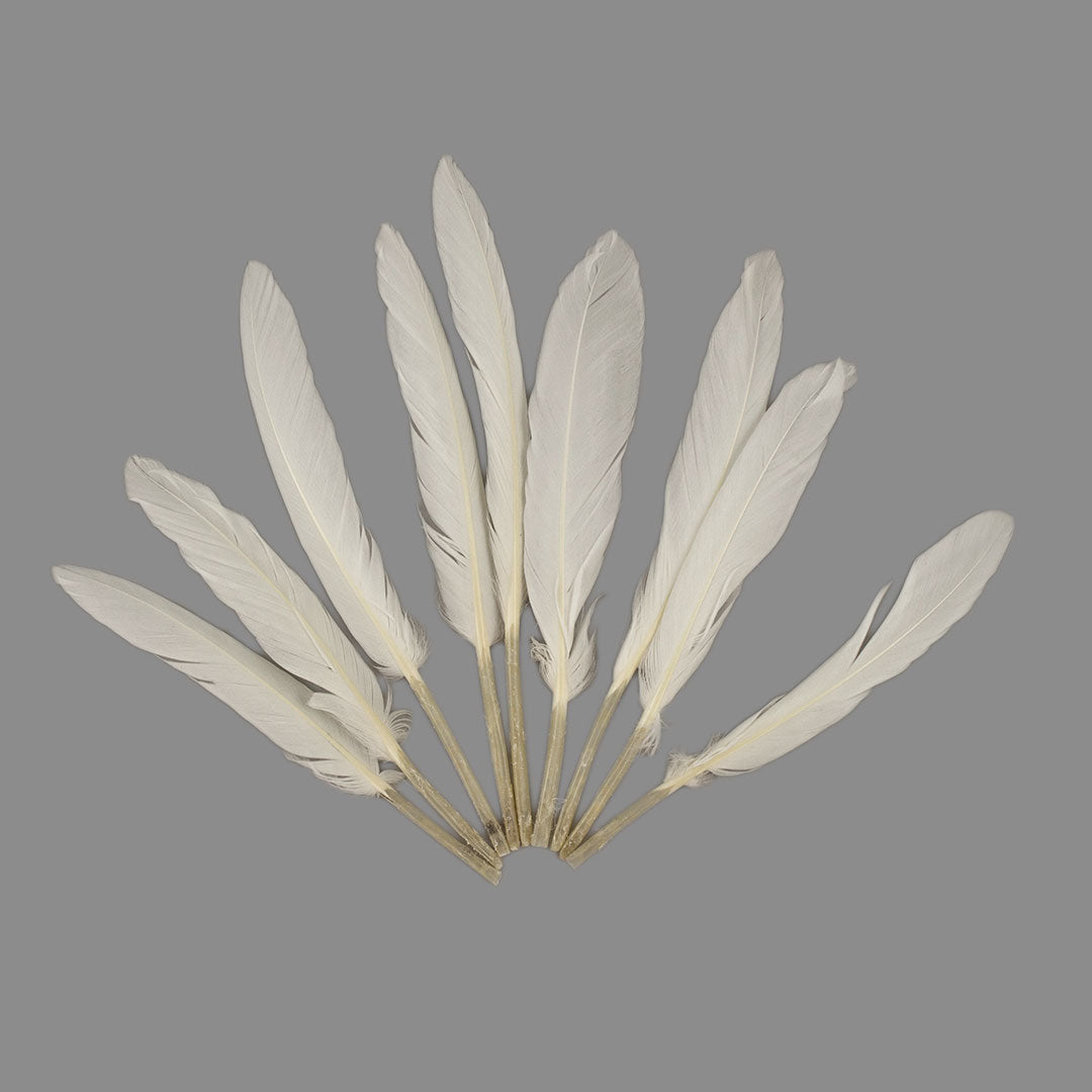 Duck Cosse Feathers - White