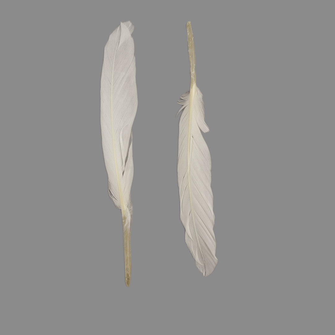 Duck Cosse Feathers - White