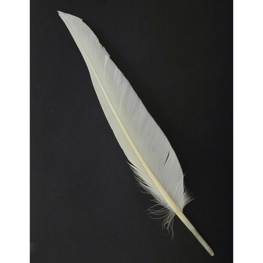 Duck Pointers 200pcs 5-9 inch - White