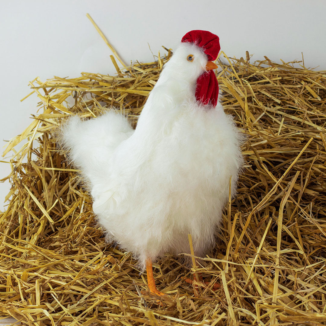 White Hen Farmhouse Decor