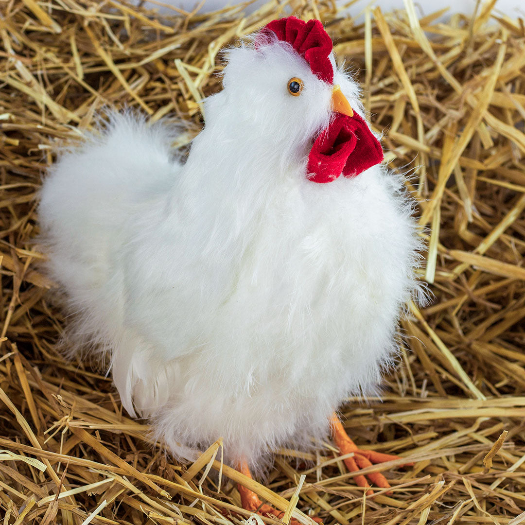 White Hen Farmhouse Decor