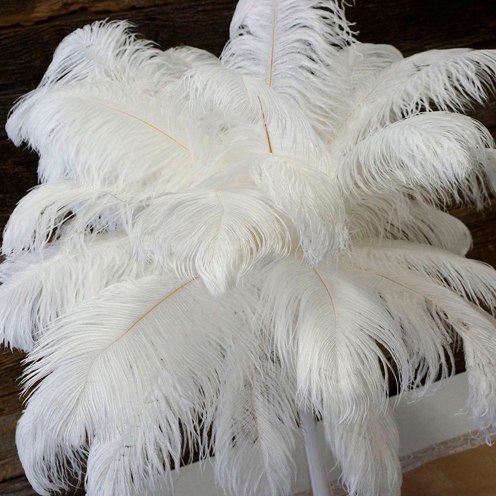 Large Ostrich Feathers - 17"+ Drabs - White