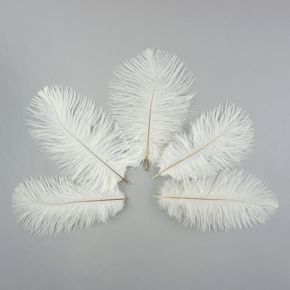 Ostrich Feathers 4-8" Drabs - White