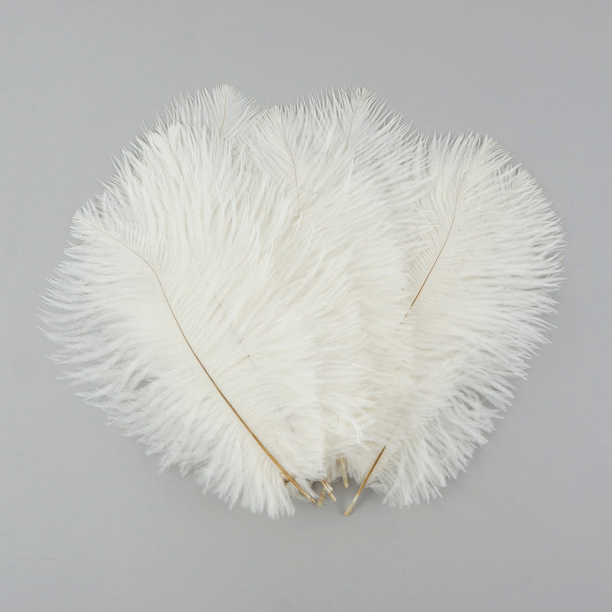 Ostrich Feathers 4-8" Drabs - White