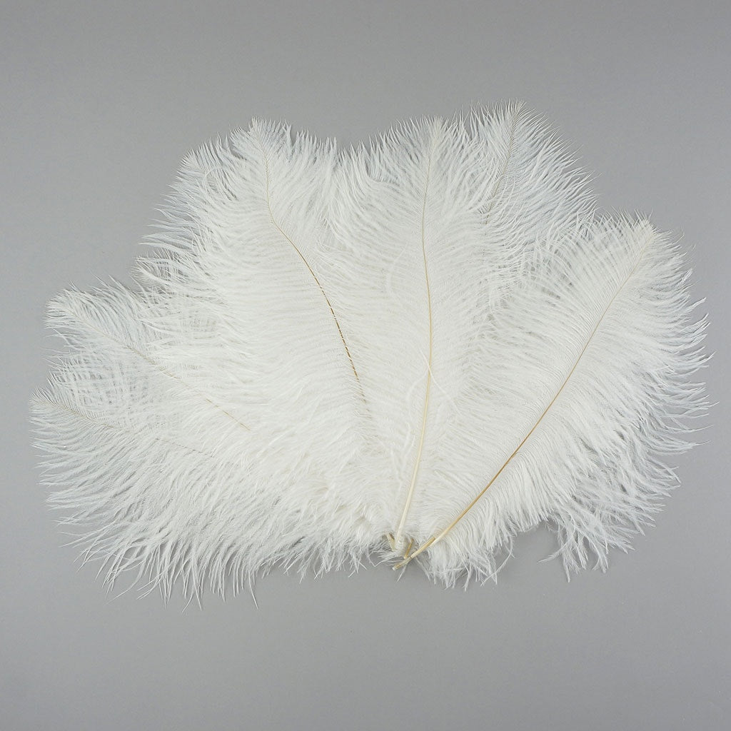 Ostrich Feathers 9-12" Drabs -  White