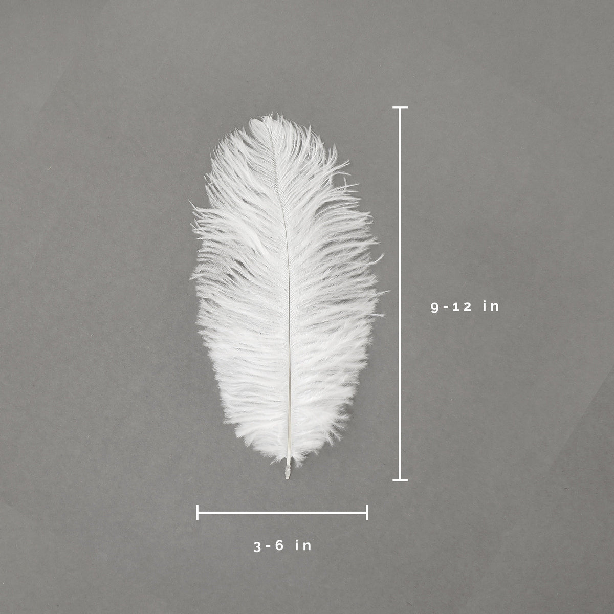 Ostrich Feathers 9-12" Drabs -  White