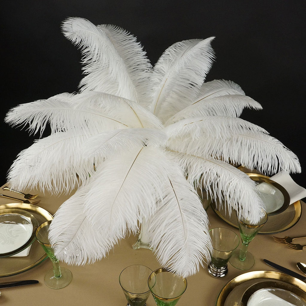 Ostrich Feathers 13-16" Drabs - White