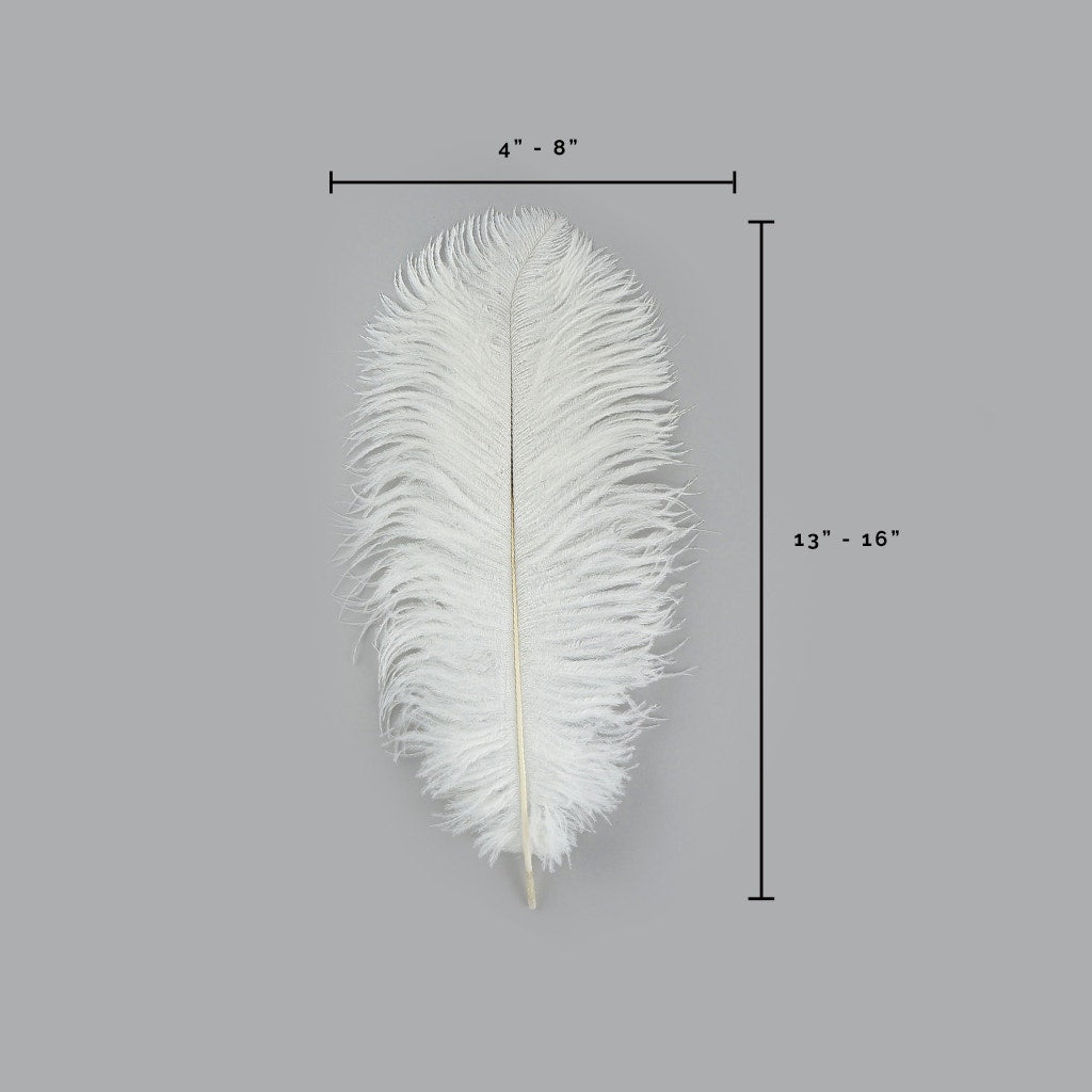 Ostrich Feathers 13-16" Drabs - White
