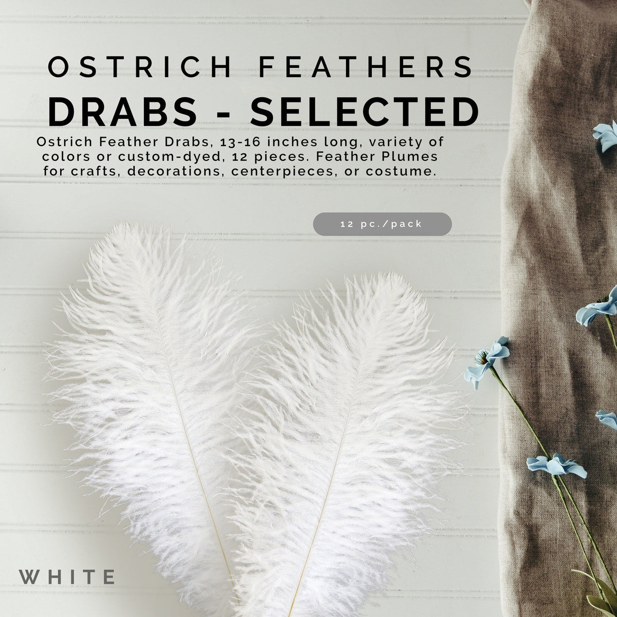 Ostrich Feathers 13-16" Drabs - White