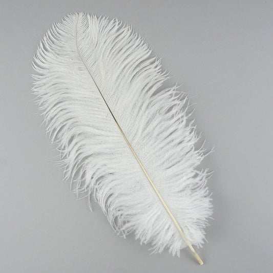 Ostrich Feathers 13-16" Drabs - White