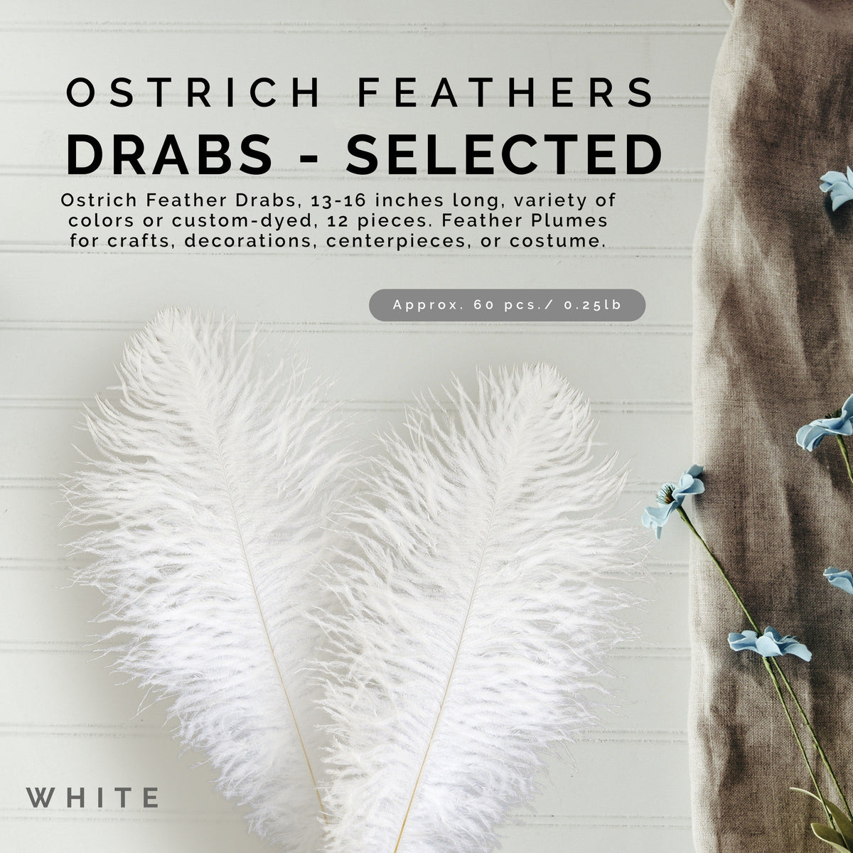 Ostrich Feathers 13-16" Drabs - White