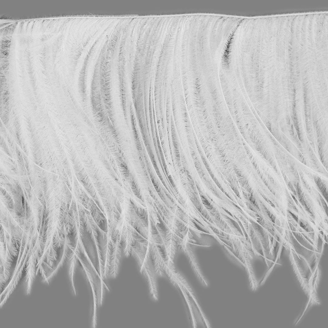 Fringe Trim | Ostrich Feathers 5-5½” | White | 2 Yard 2 Ply