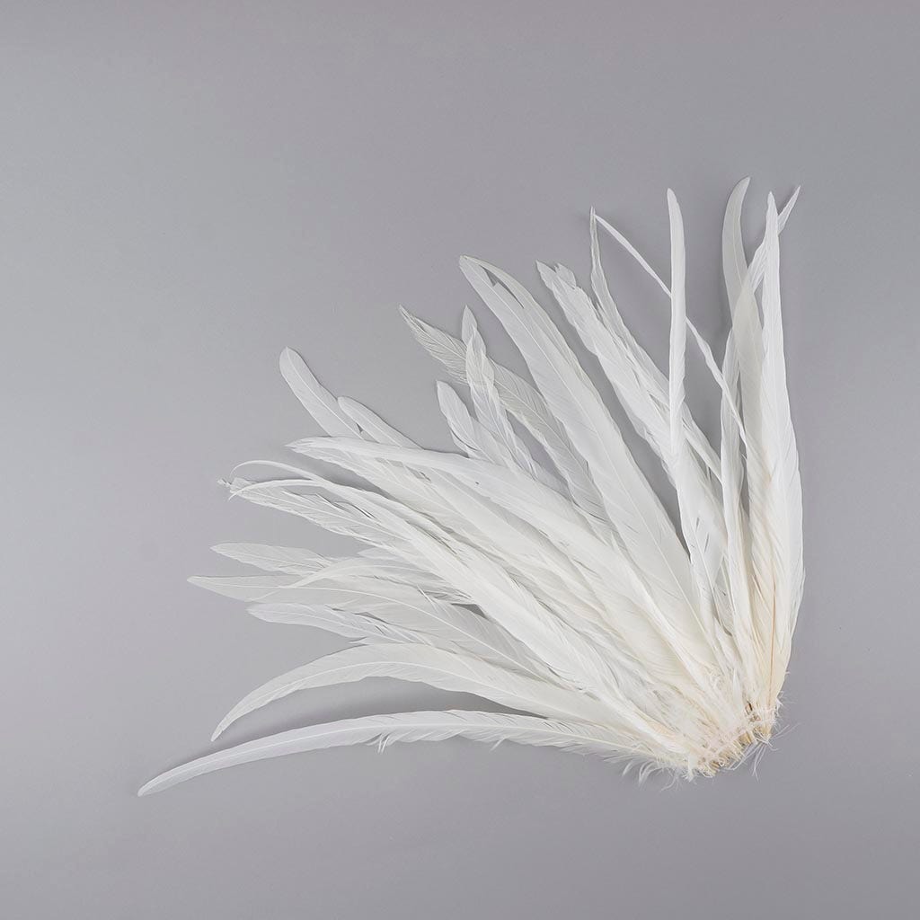 Rooster Coque Tails White - 13 - 16" - 25pcs