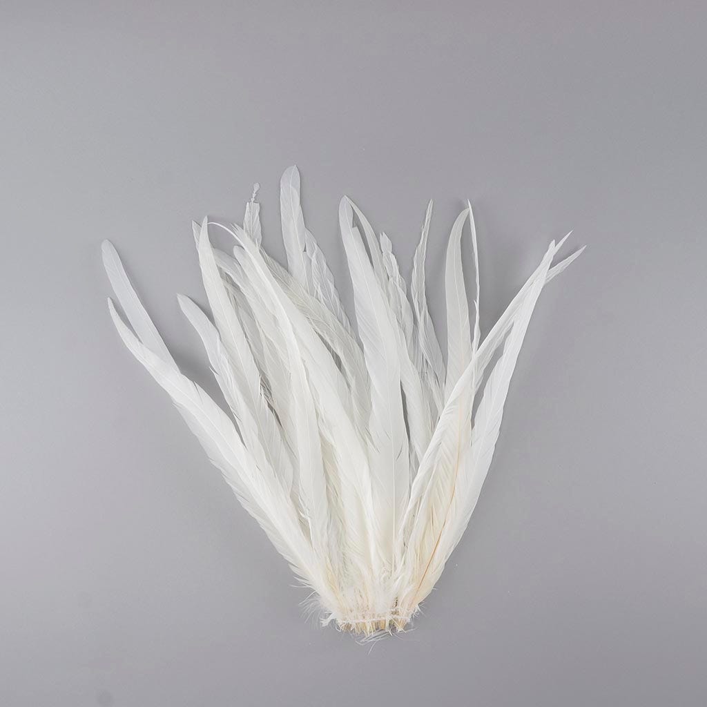 Rooster Coque Tails White - 13 - 16" - 25pcs
