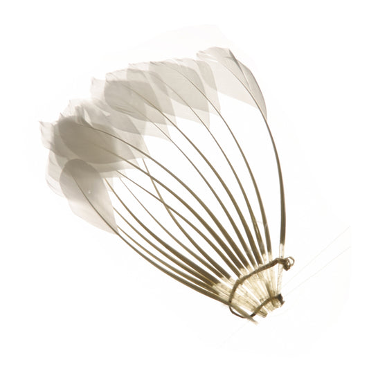 Duck Stripped Center Fan Trim - White