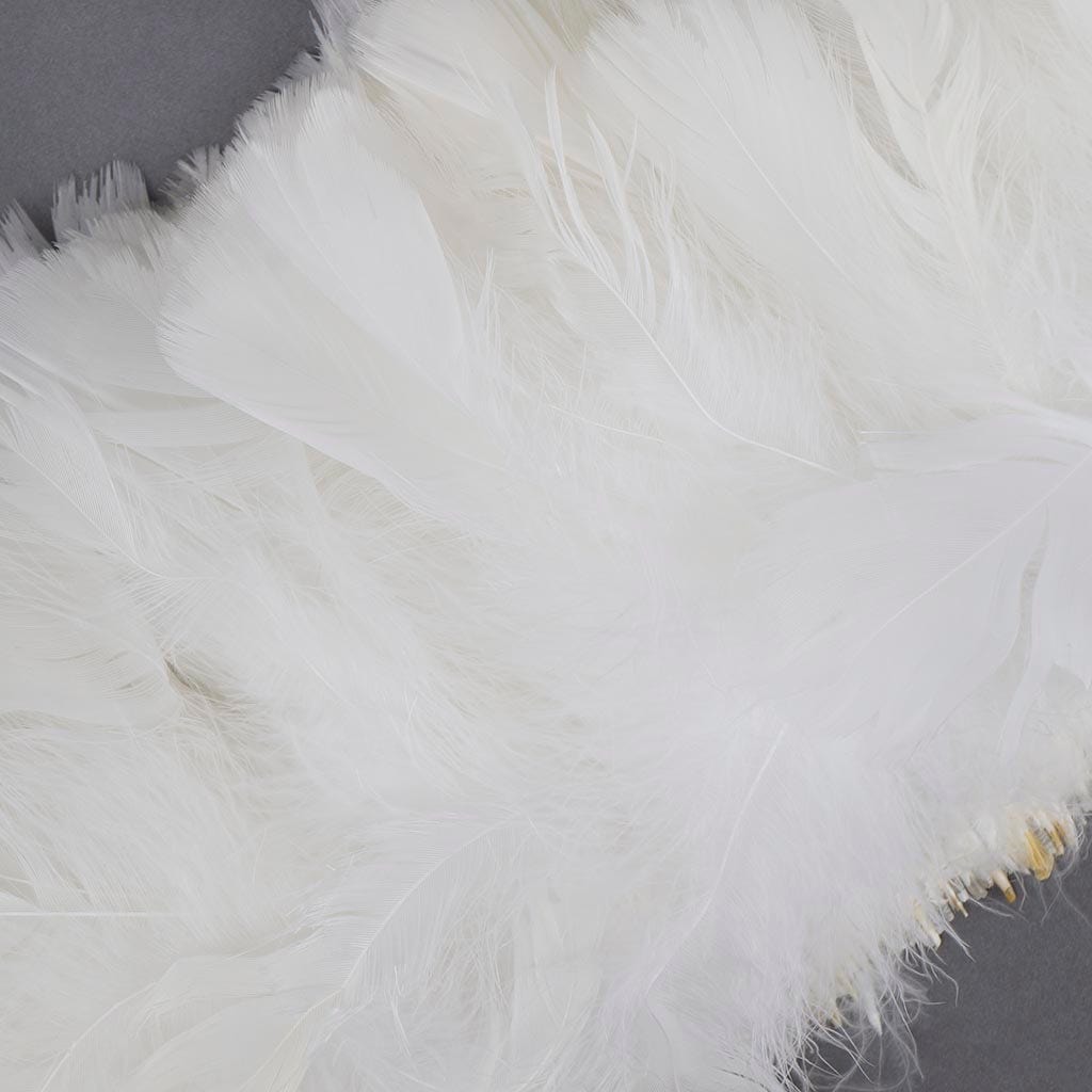 Parried Turkey Ruff Feathers-  1/2YD -  White
