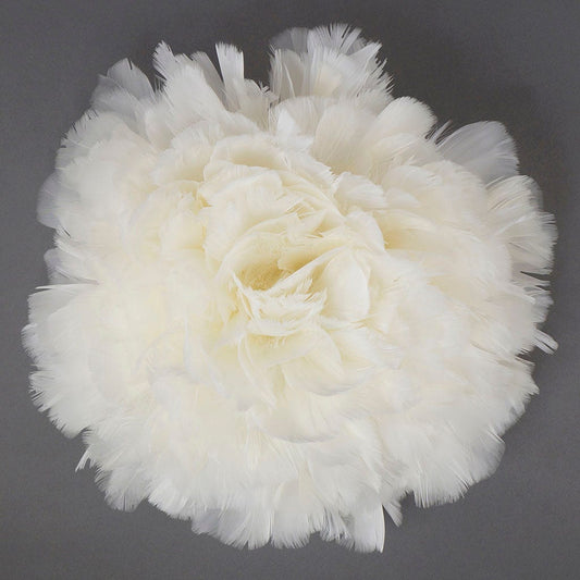 Parried Turkey Ruff Feathers-  1/2YD -  White