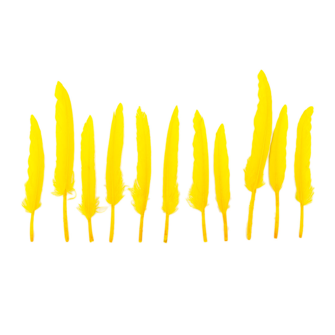 Duck Cosse Feathers - 3 - 6"-Yellow