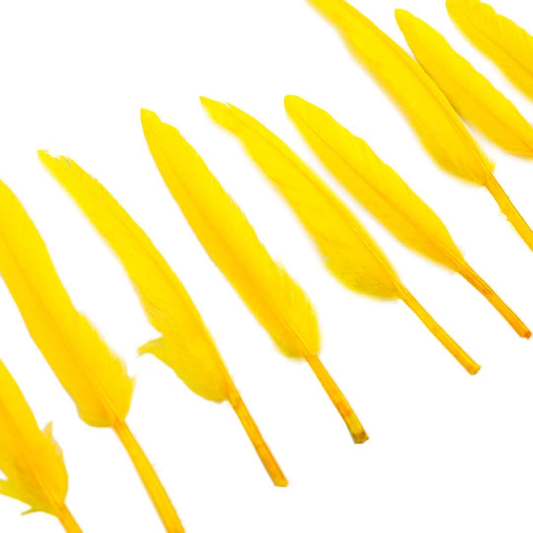 Duck Cosse Feathers - 3 - 6"-Yellow