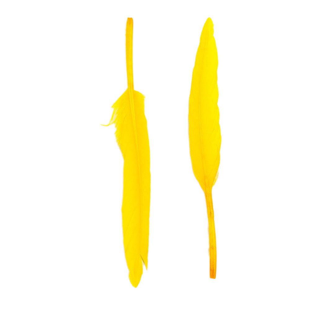 Duck Cosse Feathers - 3 - 6"-Yellow