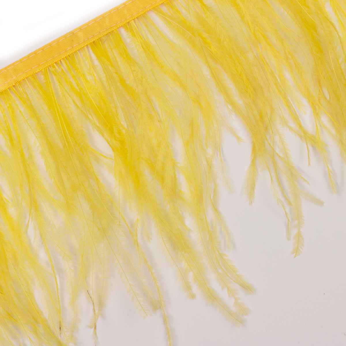 One-Ply Ostrich Feather Fringe - 5 Yards - Pineapple