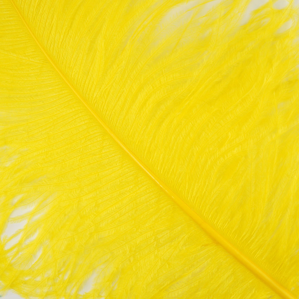 Large Ostrich Feathers - 20-25" Prime Femina Plumes - Yellow